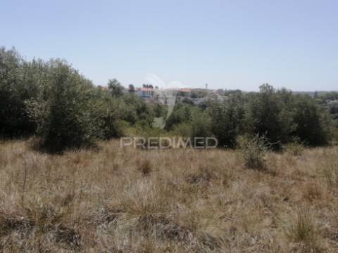 Terreno agrícola em sintra