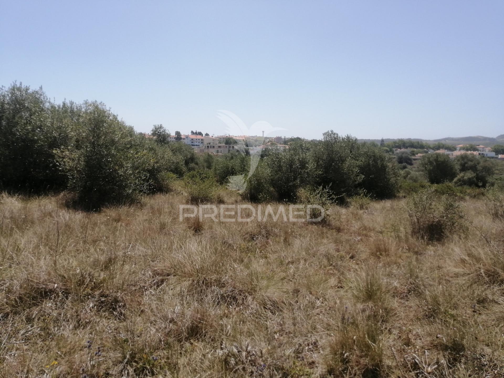 Terreno agrícola em sintra