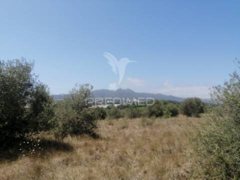 Terreno agrícola em sintra