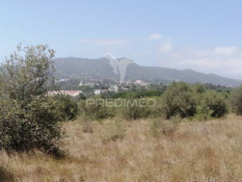 Terreno agrícola em sintra