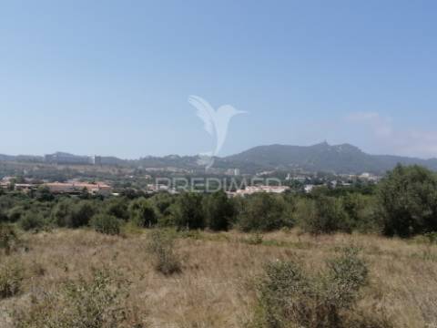 Terreno agrícola em sintra