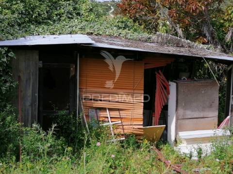 Cheleiros - terreno agrícola com 6600 m2