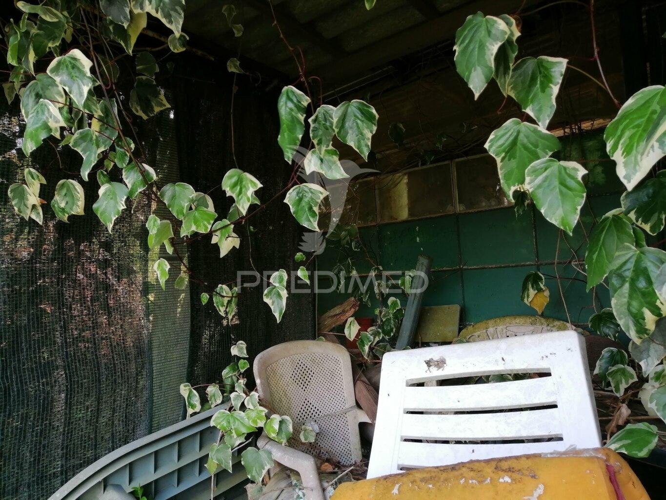 Cheleiros - terreno agrícola com 6600 m2