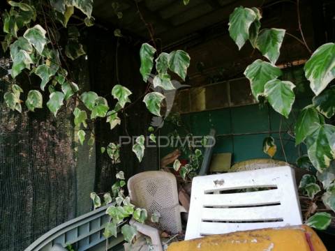 Cheleiros - terreno agrícola com 6600 m2