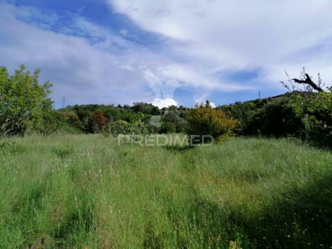 Cheleiros - terreno agrícola com 6600 m2