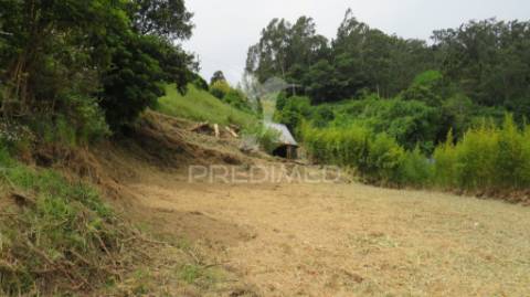 Moradia térrea t2 com terreno (750m2) no santo da serra
