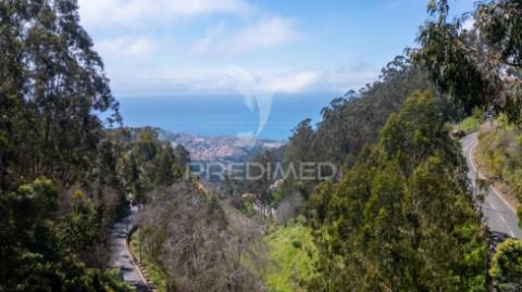 Terreno com frente estrada e vista mar.