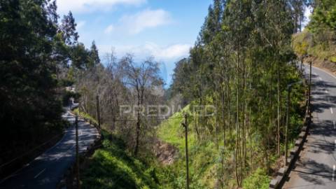 Terreno com frente estrada e vista mar.