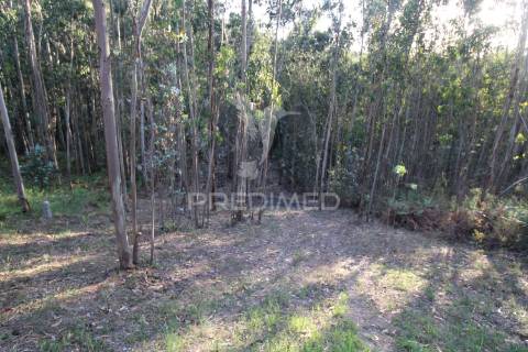 Terreno rústico com viabilidade construtiva, lagares, penafiel
