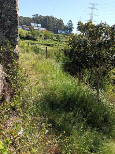 Moradia com terreno e projeto aprovado