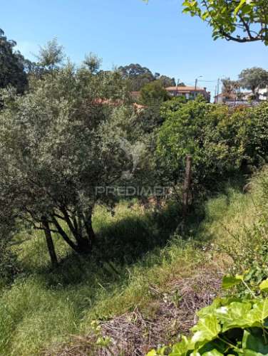 Moradia com terreno e projeto aprovado