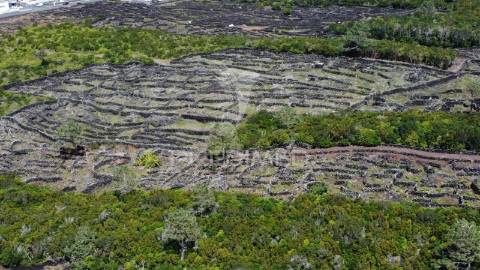 Terreno rústico com vinha – bandeiras, madalena do pico