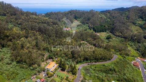 Terreno com potencial de construção em ambiente natural único – santo antónio da serra, ilha madeira