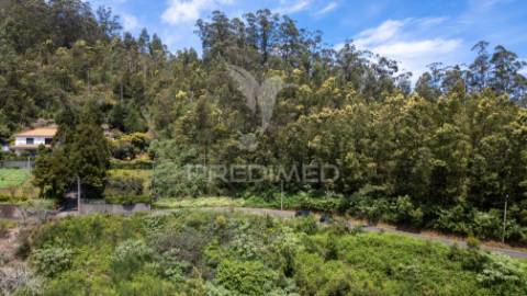 Terreno com potencial de construção em ambiente natural único – santo antónio da serra, ilha madeira