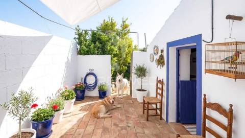 Casa térrea para recuperação total. com quintal