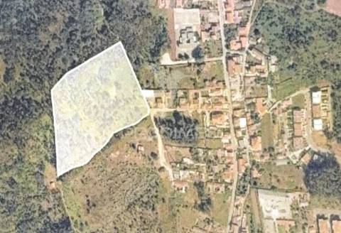 Terreno florestal para venda, em nogueira - maia