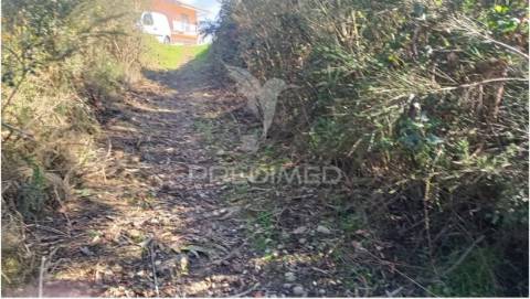 Terreno florestal para venda, em nogueira - maia
