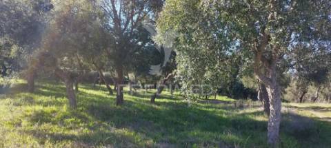 Quinta no coração do parque natural