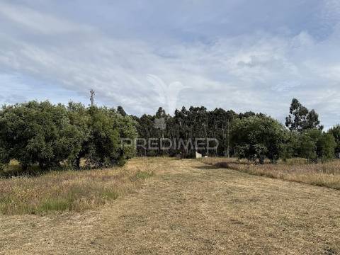 Refúgio exclusivo: propriedade de 4 hectares com moradia de conforto. próxima do mar.