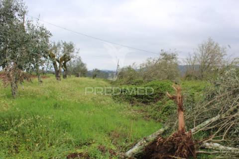 Terreno rustico