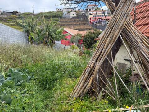Casa térrea com terreno agrícola