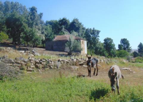 Quintinha p/ recuperar em torgueda - vila real