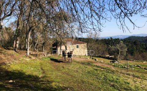 Quintinha p/ recuperar em torgueda - vila real