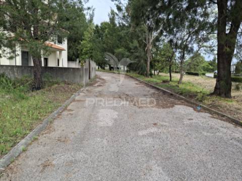 Lote de moradia