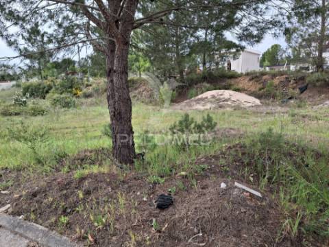 Lote de moradia