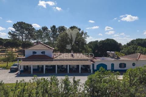 Quinta de charme única! - alcácer do sal