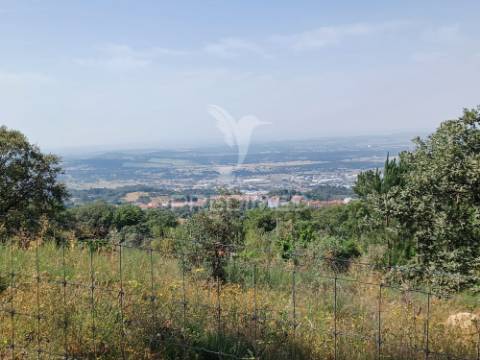 Terreno rústico 4,983 ha - portalegre