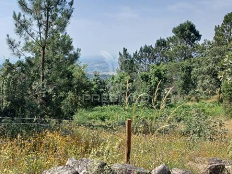 Terreno rústico 4,983 ha - portalegre