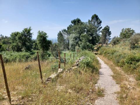 Terreno rústico 4,983 ha - portalegre