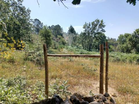 Terreno rústico 4,983 ha - portalegre