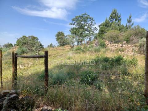 Terreno rústico 4,983 ha - portalegre