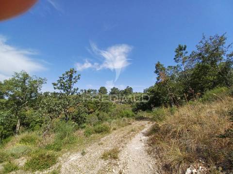 Terreno rústico 5,425 ha - portalegre
