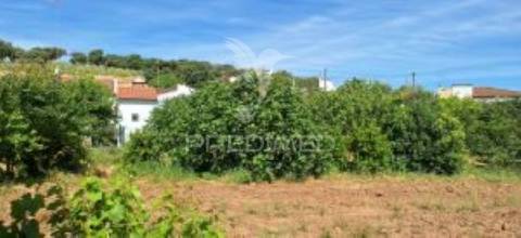 Quintinha