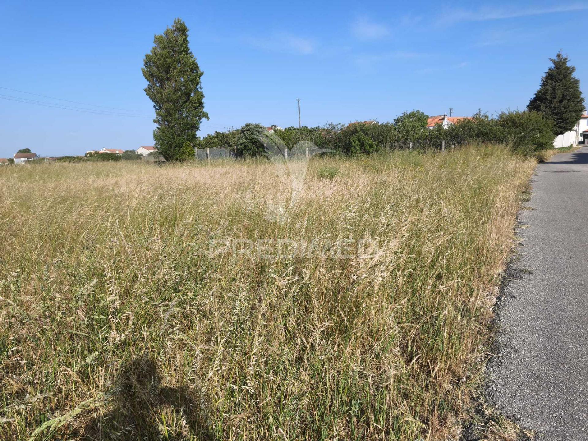 Terreno  com 560,02 m² | gafanha da nazaré