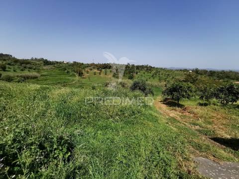 Terreno rustico e urbano com ruina para reconstrução