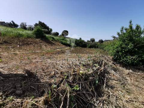 Terreno rustico e urbano com ruina para reconstrução