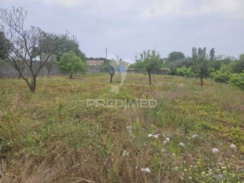 Terreno na entrada de tomar com parcela urbana 1200m2