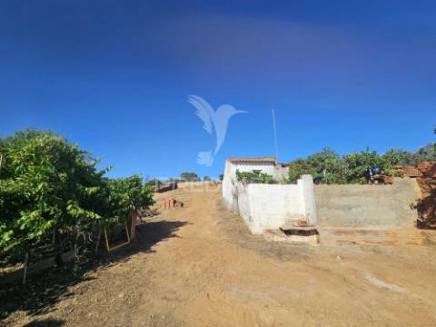 Moradia t3 com terreno urbano de 970 m² em vales mortos – serpa