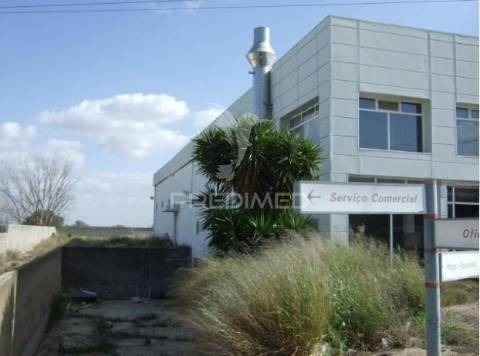 Stand automóvel e oficina com 1.080m² em elvas