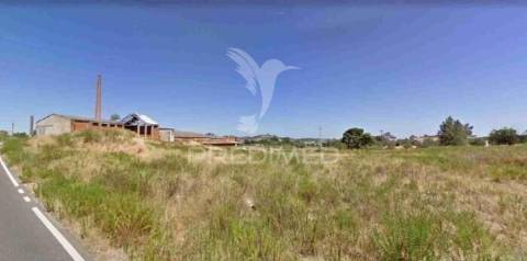 Unidade industrial de cerâmica com 28.840m² | santarém