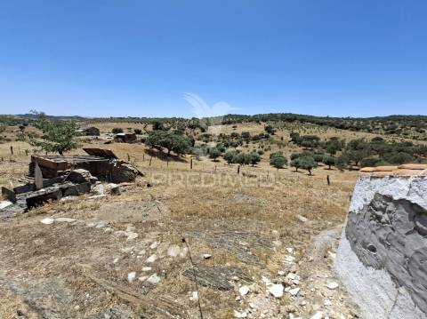 Monte alentejano no rosário – alandroal