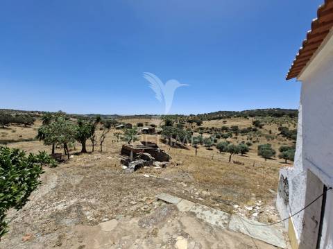 Monte alentejano no rosário – alandroal