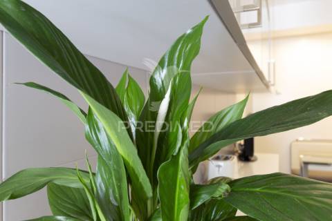Apartamento t3 c/ varanda