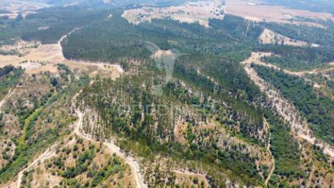 Herdade 53 hectares projeto aprovado 10 minutos da costa alentejana