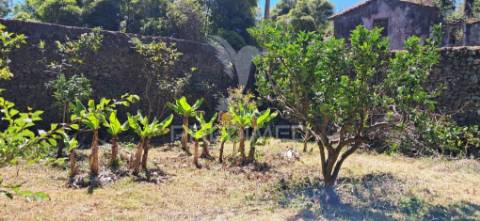 Terreno/pomar