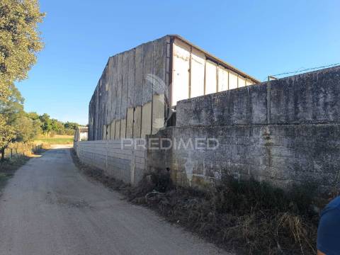 Armazém com 938,43 m2 em são lourenço de mamporcão